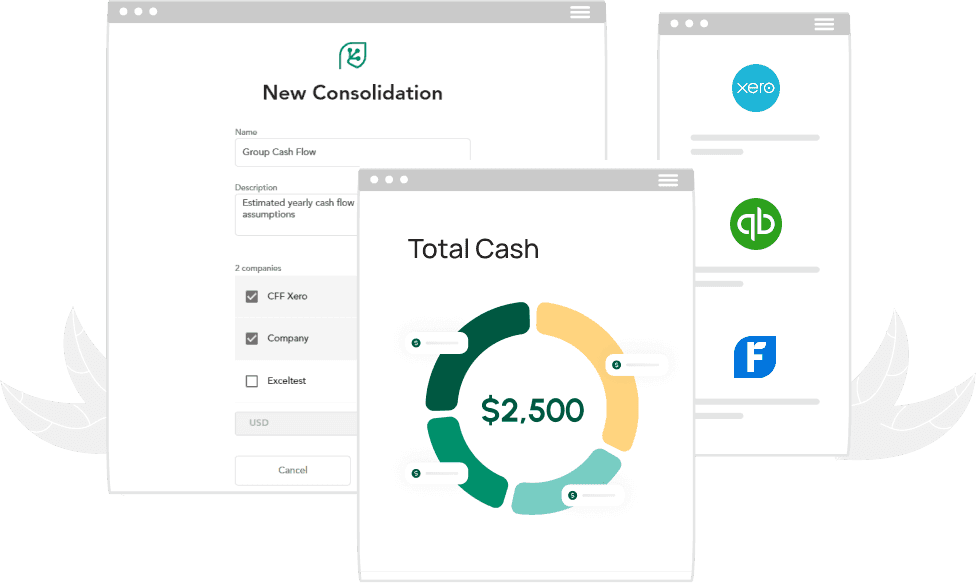 Forecast your most important asset - your cash with our cutting-edge forecast software.