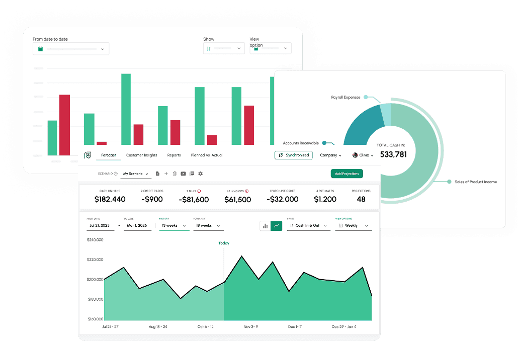 View various aspects of your cash flow forecast